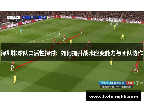 深圳排球队灵活性探讨：如何提升战术应变能力与团队协作