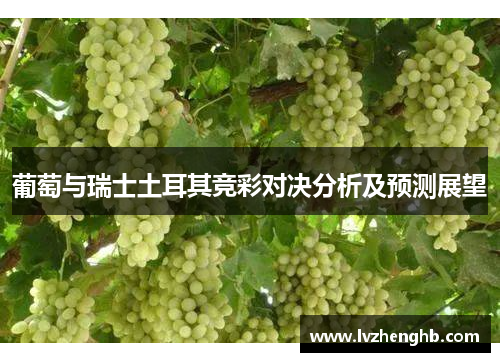 葡萄与瑞士土耳其竞彩对决分析及预测展望